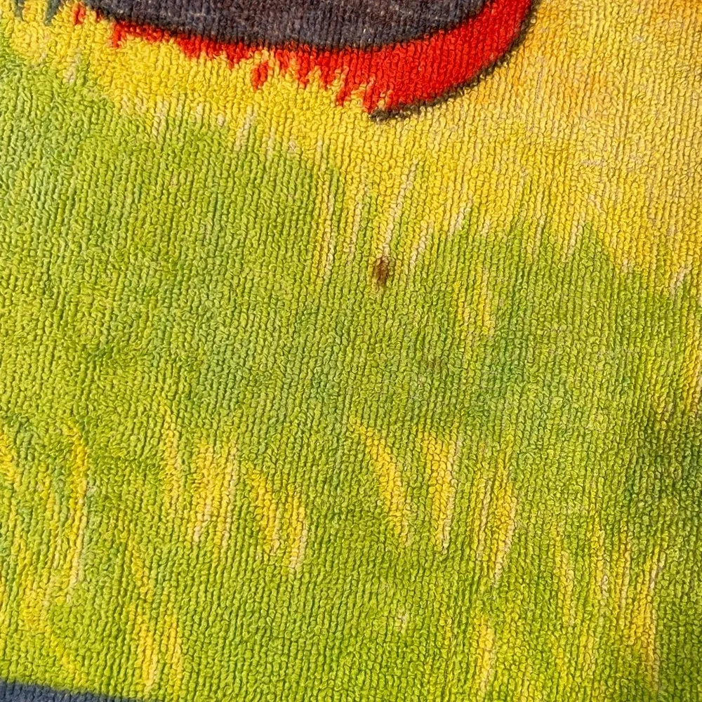 Vintage Warner Bros Looney Tunes Tweety Bird Beach Towel